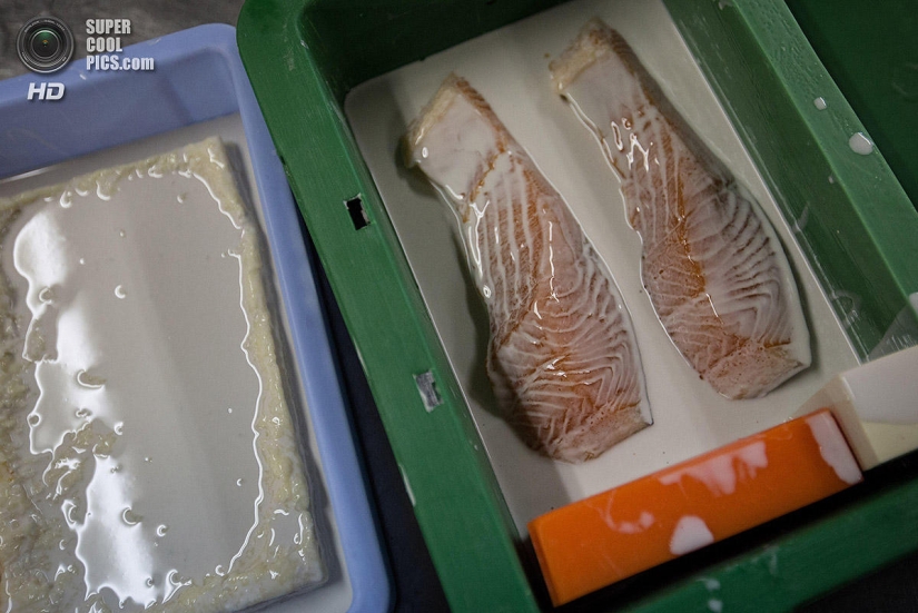 Platos de vinilo: Incomestibles, pero hermosos