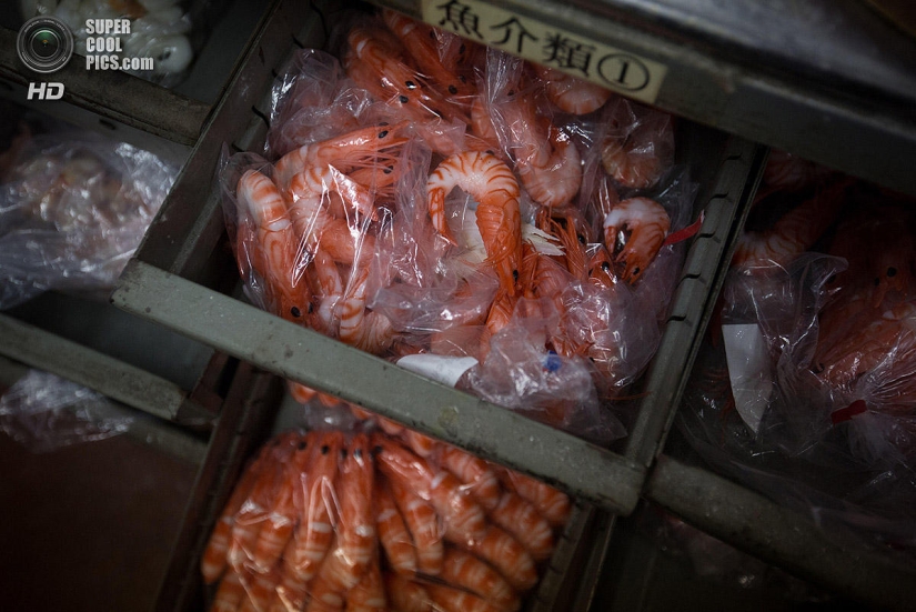 Platos de vinilo: Incomestibles, pero hermosos