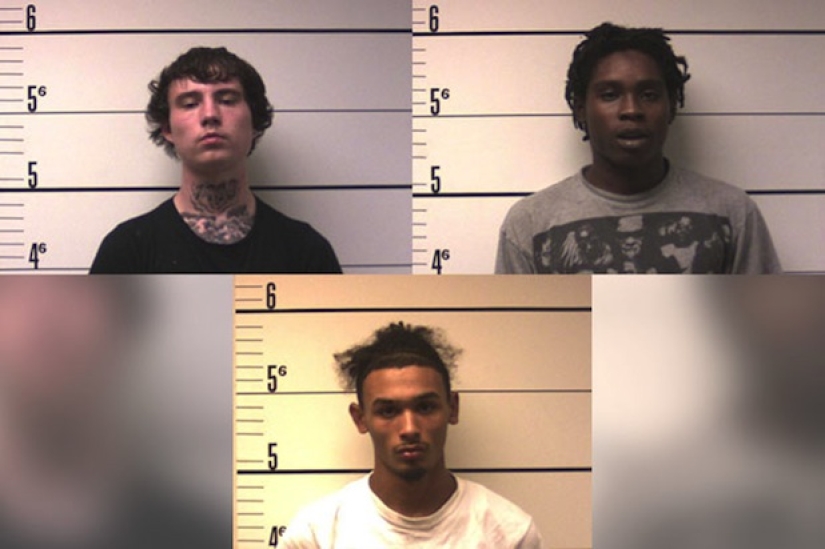 Pokemon, Go Away, or The Strangest Stories Related to Pokemon Go Pokemon, Go Away, or The Strangest Stories Related to Pokemon Go