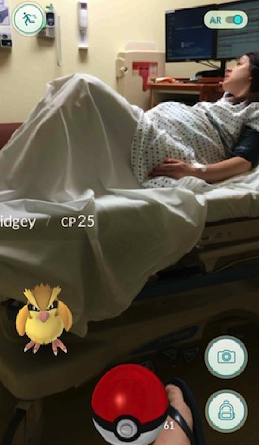 Pokemon, Vete, o Las Historias Más Extrañas Relacionadas con Pokemon Go Pokemon, Vete, o Las Historias Más Extrañas Relacionadas con Pokemon Go