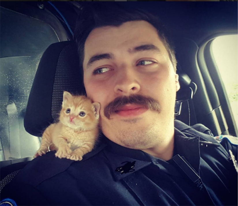 Policía de Carolina del Sur rescata a un gatito y lo acepta como socio