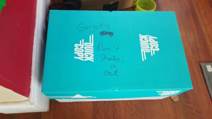 Policía de Carolina del Sur rescata a un gatito y lo acepta como socio