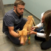 Police rescued two dogs that looked like walking skeletons from an abandoned house