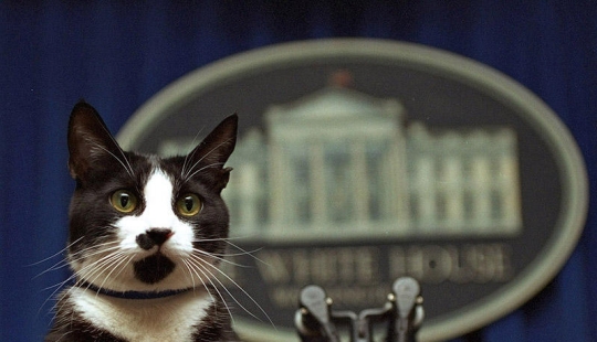 Políticos famosos y sus mascotas de cuatro patas