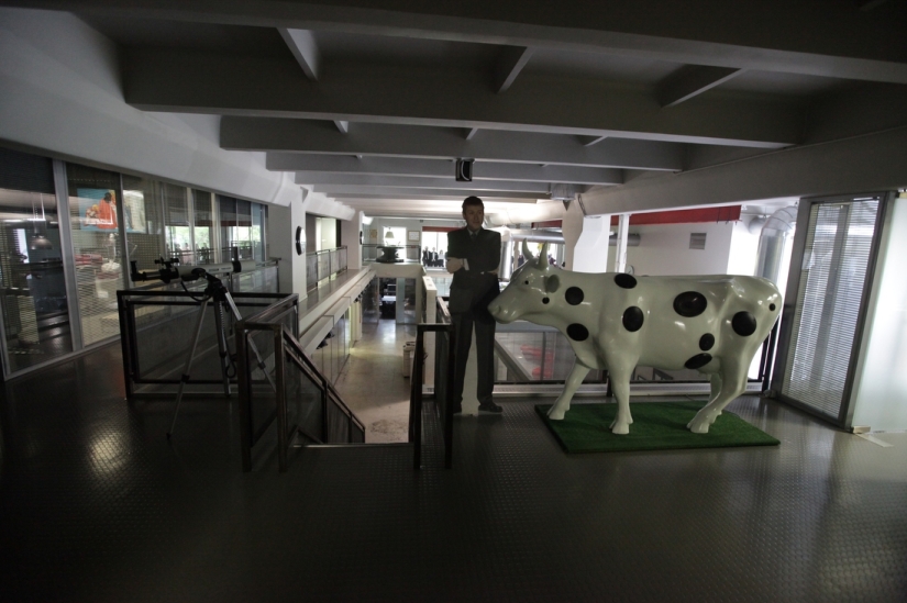 Popov is not ashamed: how the Silver Rain radio station works