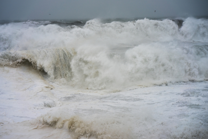 Por qué a este artista le gusta correr con caballos por los campos en lo que la madre dio a luz