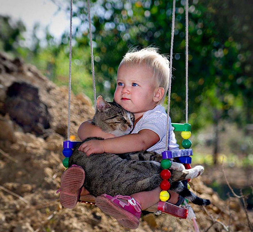 ¿Por qué amamos a los gatos?