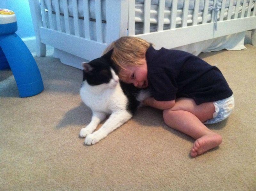 ¿Por qué amamos a los gatos?