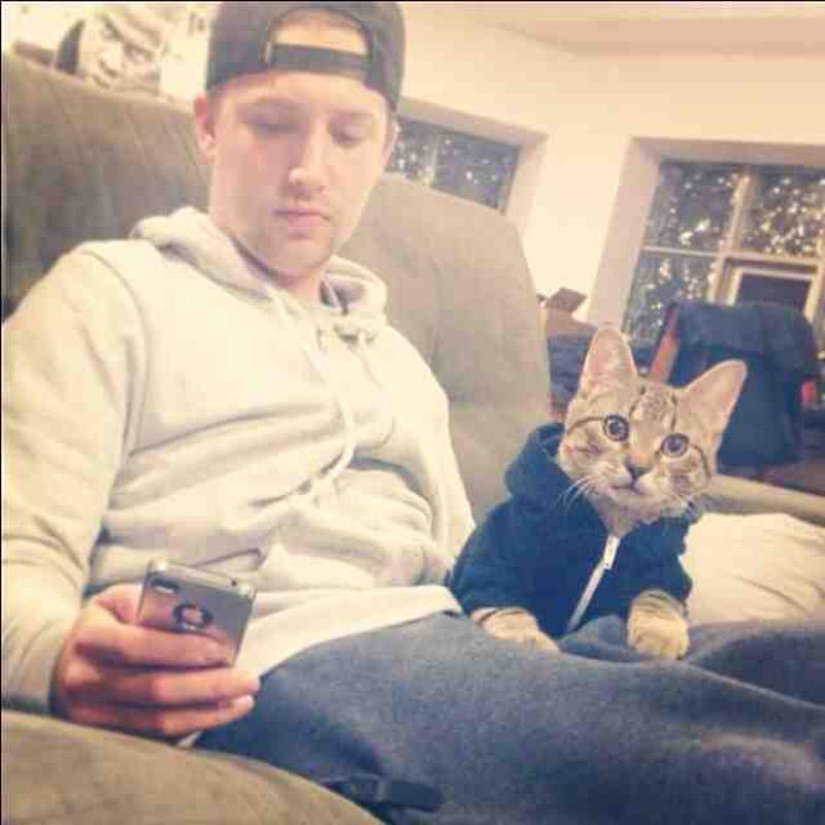 ¿Por qué amamos a los gatos?