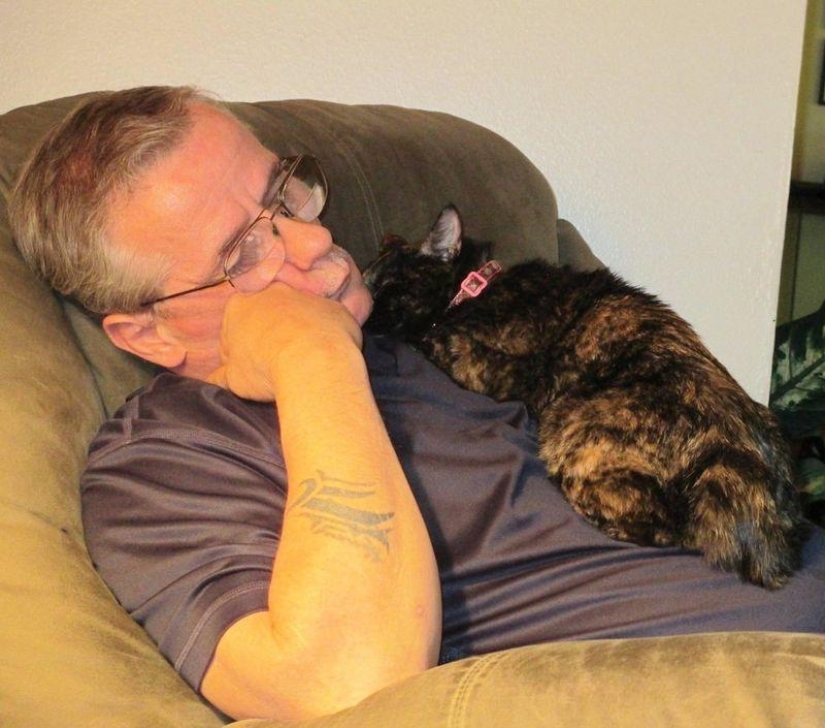 ¿Por qué amamos a los gatos?