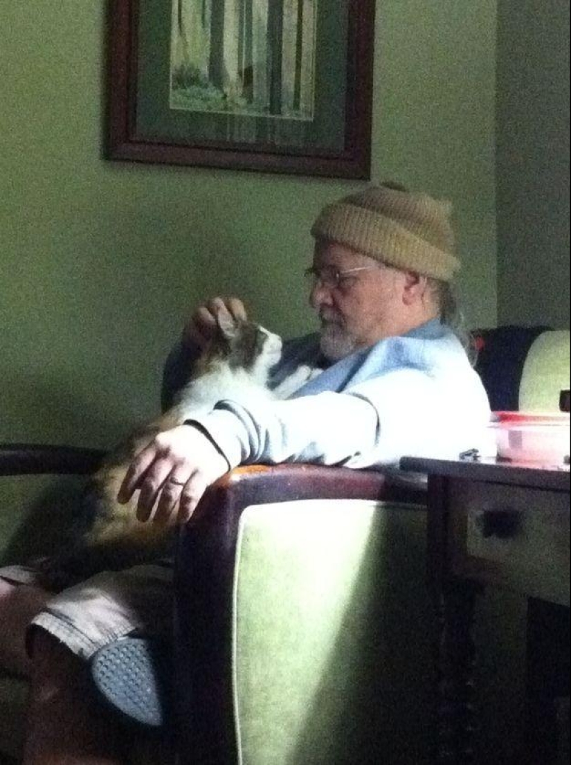 ¿Por qué amamos a los gatos?