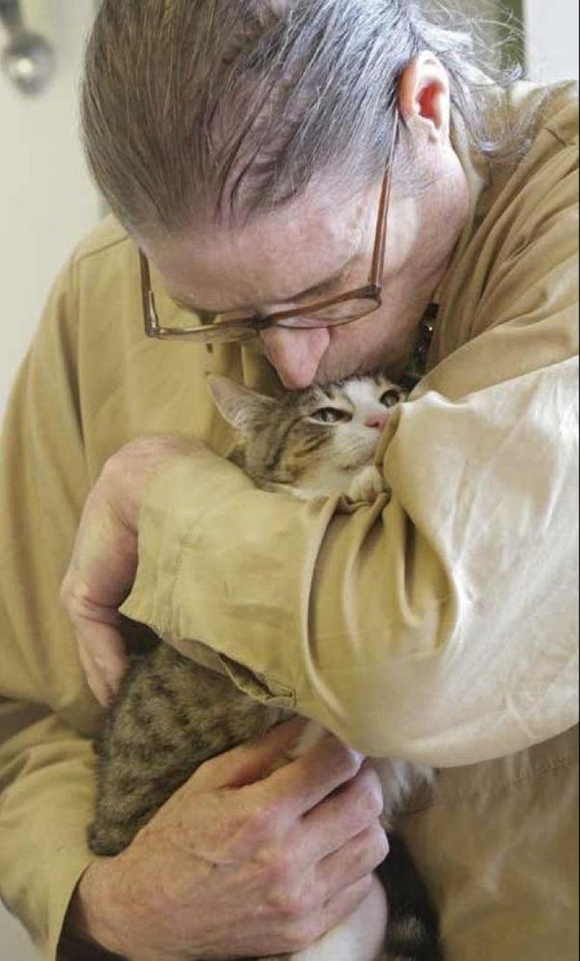 ¿Por qué amamos a los gatos?