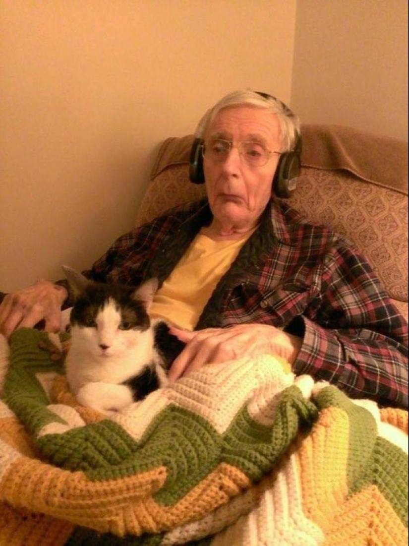 ¿Por qué amamos a los gatos?