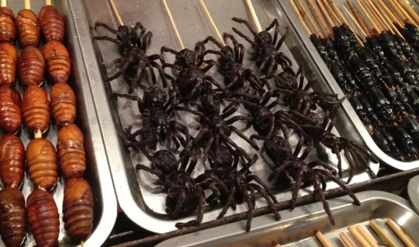 ¿Por qué los chinos comen insectos y alimentos "extraños" que asustan a las personas civilizadas?