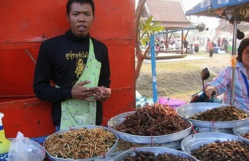 ¿Por qué los chinos comen insectos y alimentos "extraños" que asustan a las personas civilizadas?