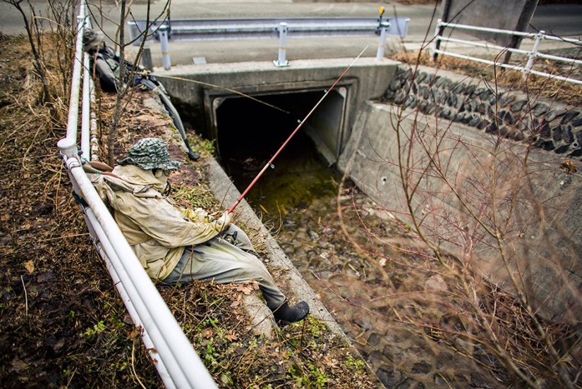 ¿Por qué viven 35 personas y 150 animales de peluche en un pueblo japonés? ¿Por qué viven 35 personas y 150 animales de peluche en un pueblo japonés?