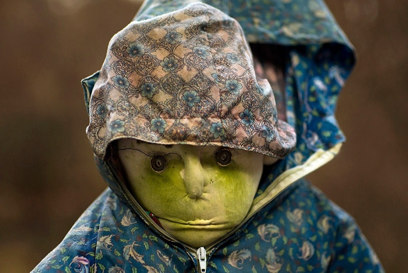 ¿Por qué viven 35 personas y 150 animales de peluche en un pueblo japonés? ¿Por qué viven 35 personas y 150 animales de peluche en un pueblo japonés?