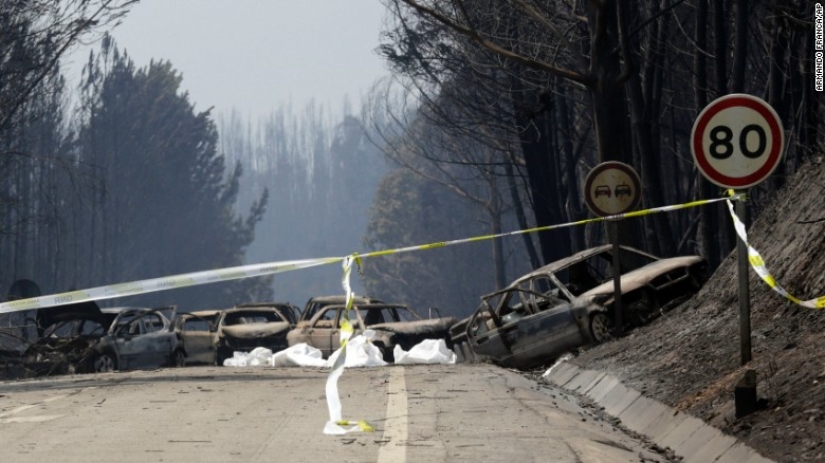 Portugal sufre el mayor incendio de los últimos 50 años