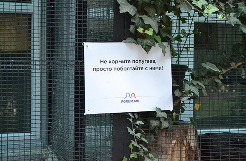 Positive from the zoo