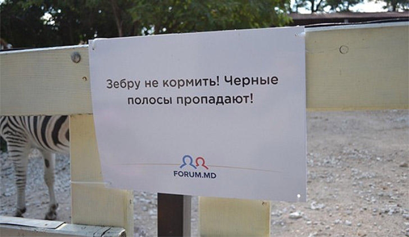 Positive from the zoo