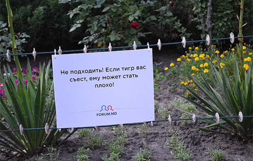 Positive from the zoo