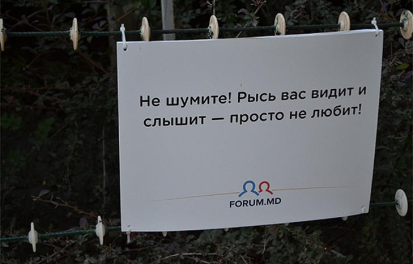 Positivo del zoológico