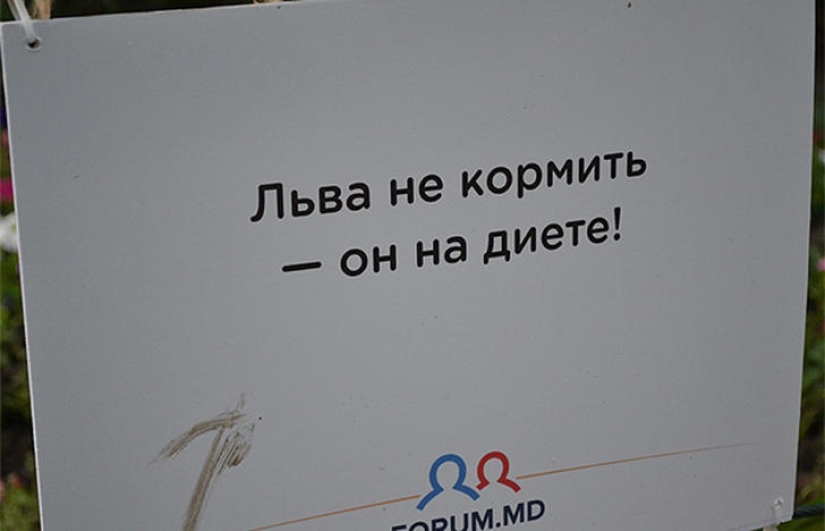 Positivo del zoológico