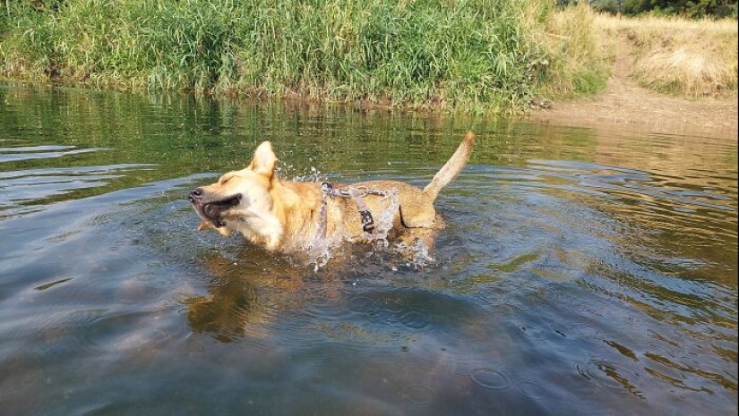 Post A Picture Of Your Favorite Thing Related To Summer