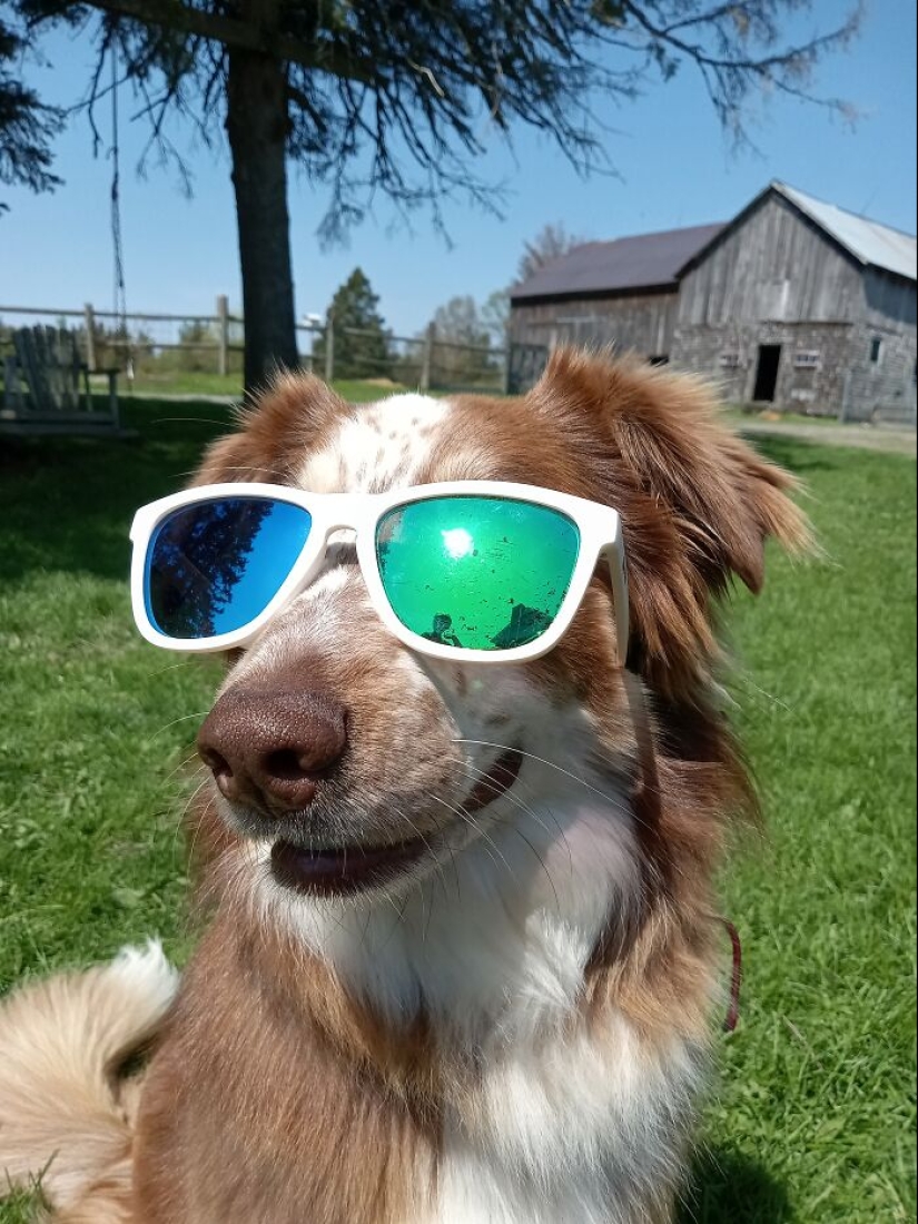 Post A Picture Of Your Favorite Thing Related To Summer