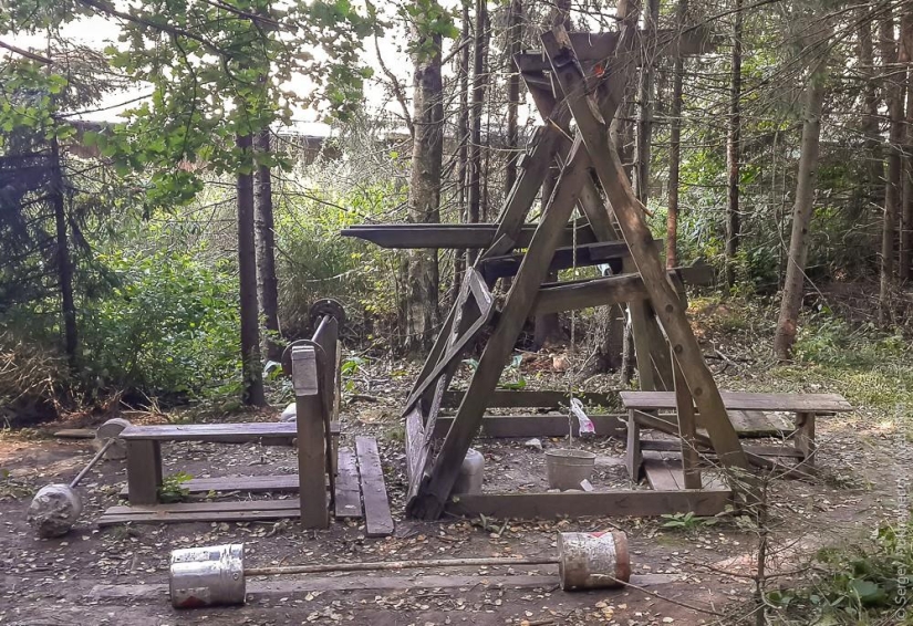 Power complex "Pinocchio": Wooden rocking chair in the forest Power complex "Pinocchio": Wooden rocking chair in the forest