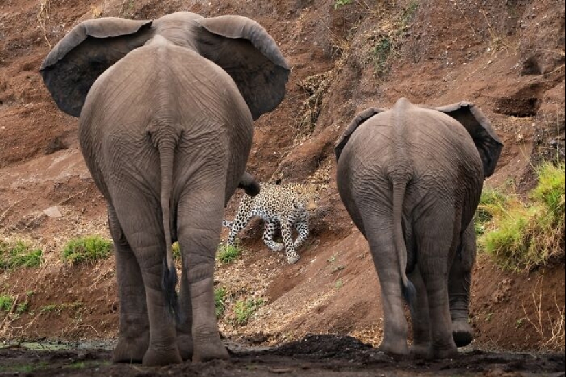 Powerful Photography: 11 Winning Photos Of 2023 Siena International Photo Awards