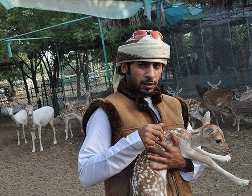 Predatory cats and expensive cars: the leisure of an Arab millionaire