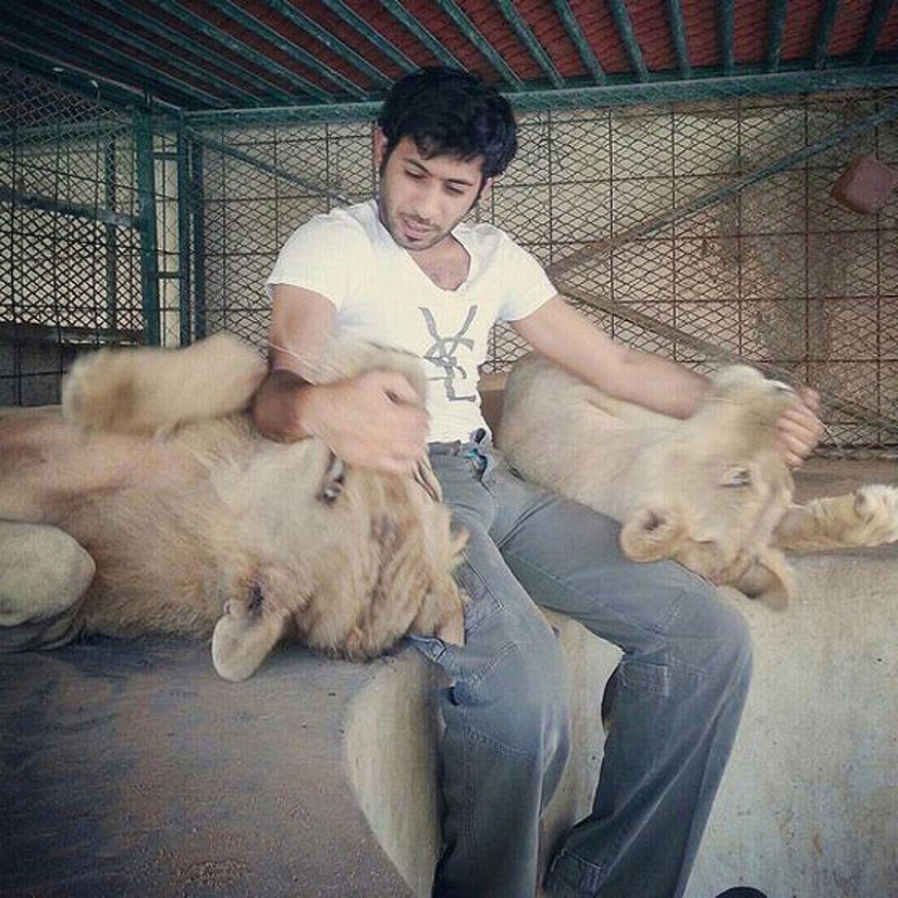 Predatory cats and expensive cars: the leisure of an Arab millionaire