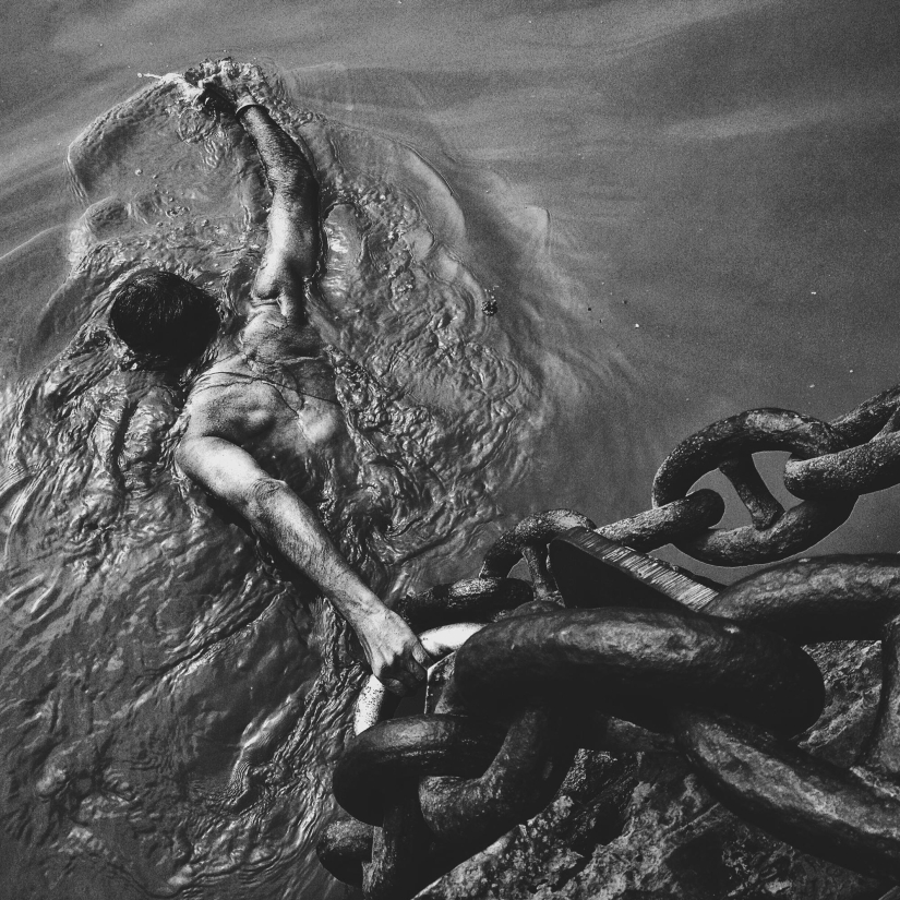 Premios a la Mejor Fotografía de iPhone 2016 Premios a la Mejor Fotografía de iPhone 2016