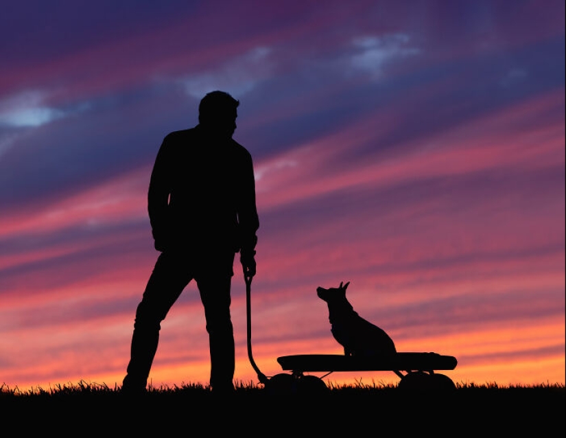 Premios internacionales al fotógrafo de mascotas del año: 15 mejores imágenes de 2023