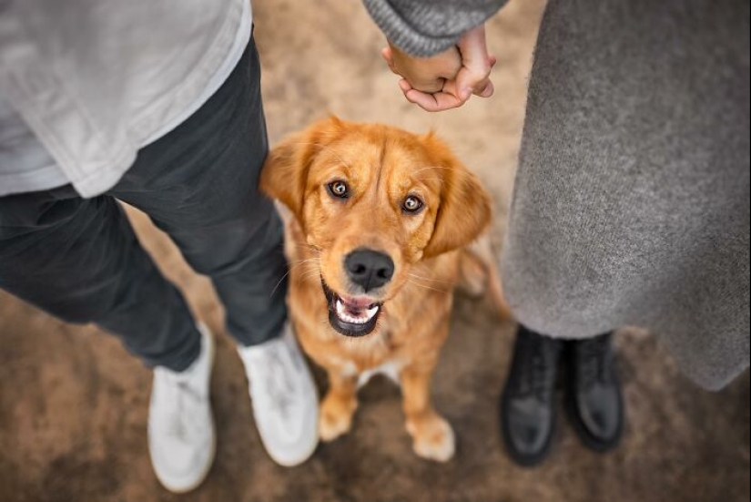 Premios internacionales al fotógrafo de mascotas del año: 15 mejores imágenes de 2023