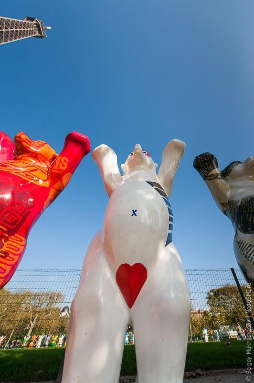 Preved, bears! Preved, bears!