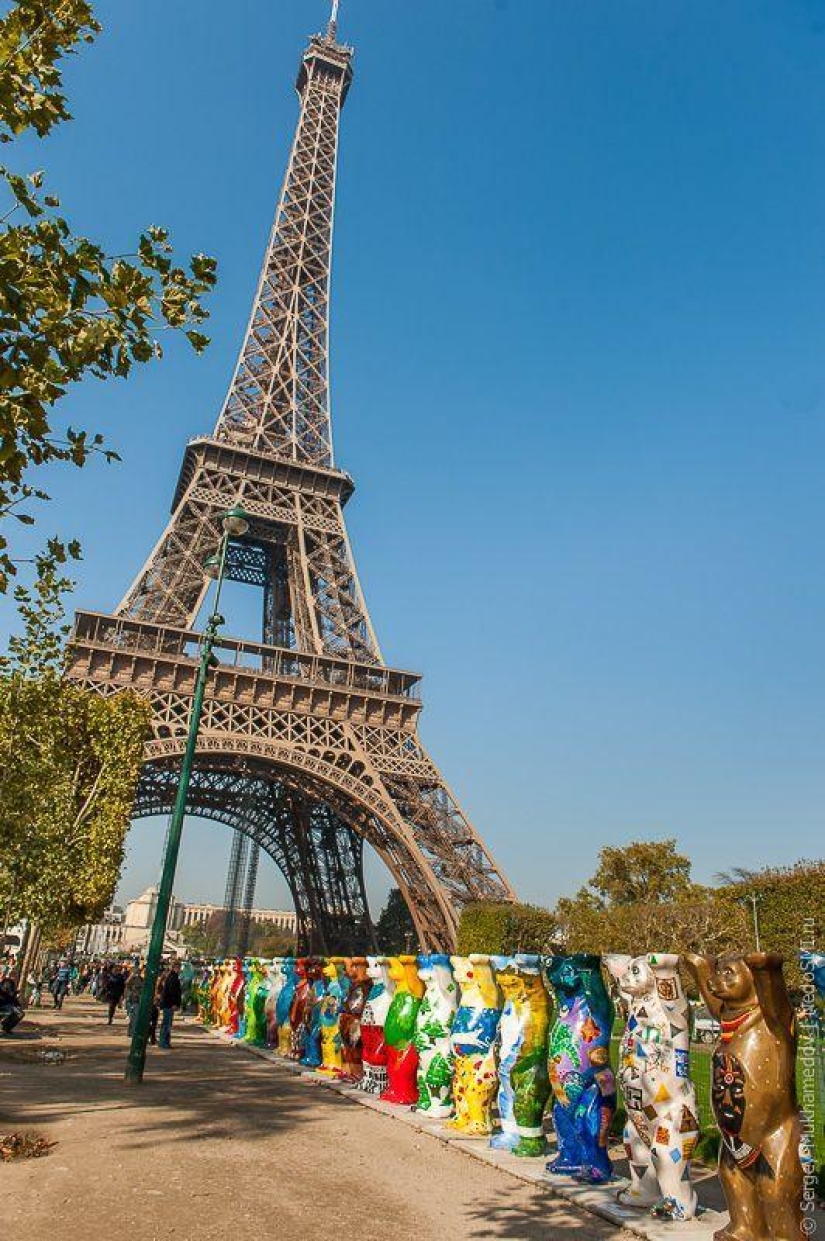 Preved, bears! Preved, bears!