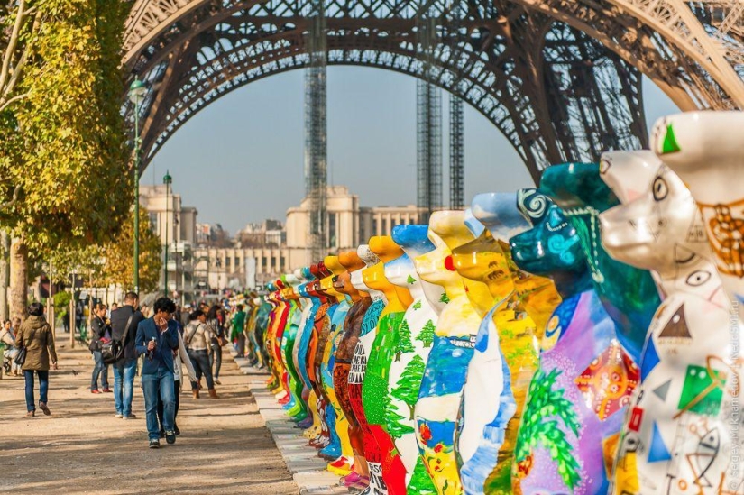 Preved, osos! Preved, osos!