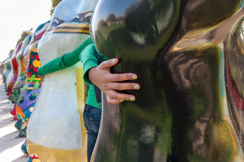 Preved, osos! Preved, osos!