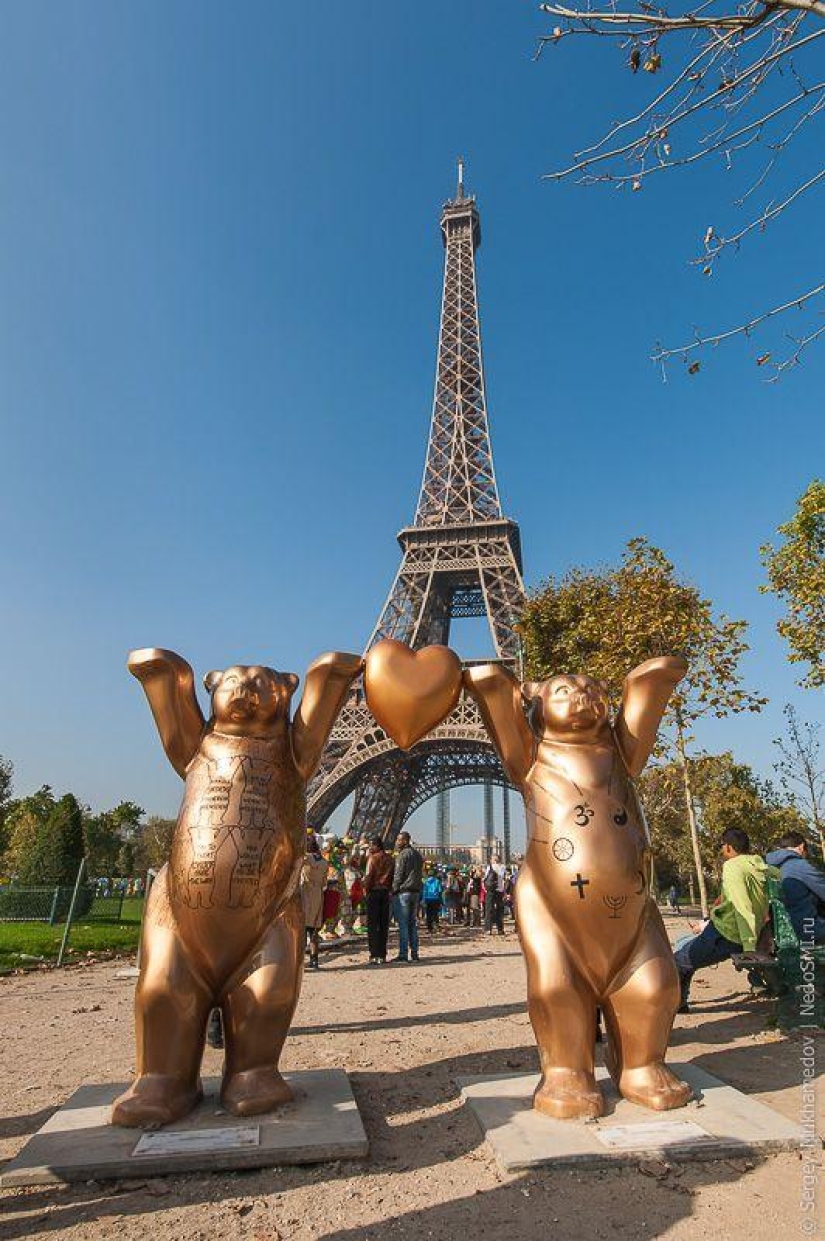 Preved, osos! Preved, osos!