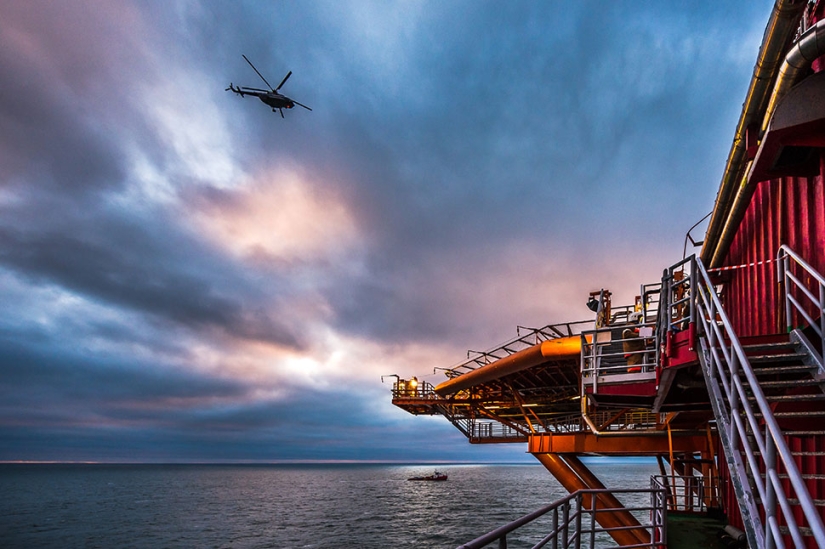 "Prirazlomnaya": probado por sellos "Prirazlomnaya": probado por sellos