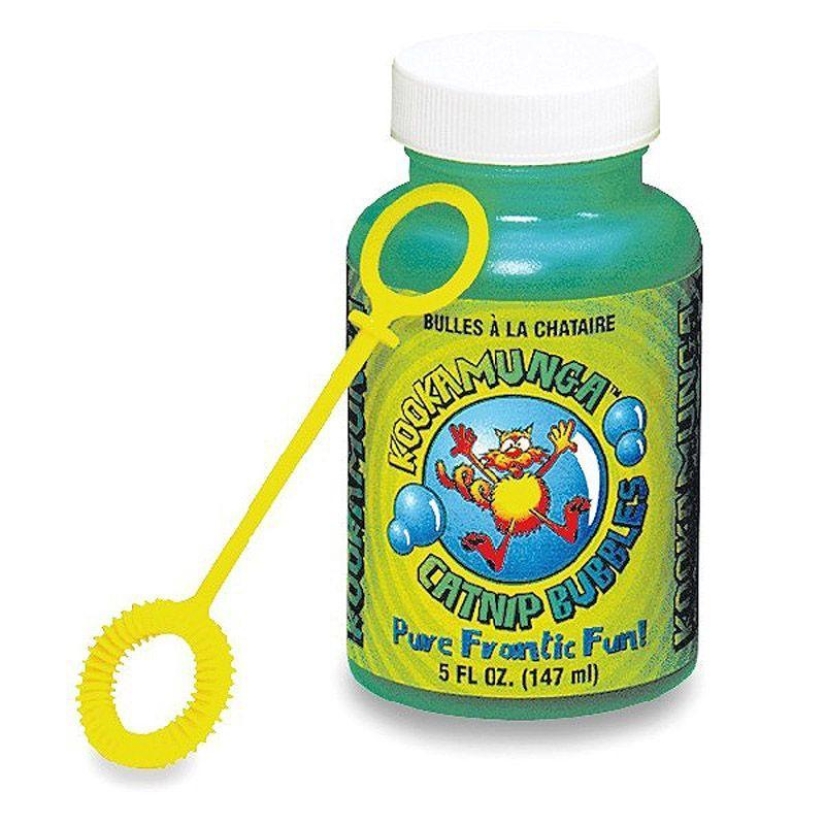 Productos raros para gatos Productos raros para gatos