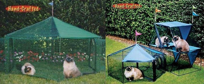 Productos raros para gatos Productos raros para gatos