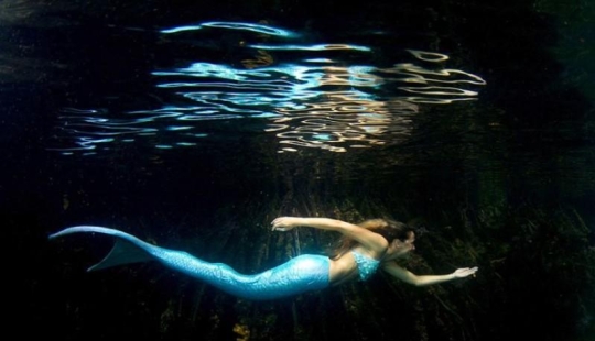 professional mermaid professional mermaid