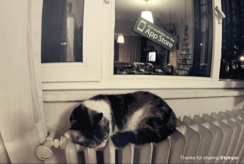 Project "Not available on the App Store"