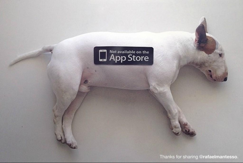 Project "Not available on the App Store"