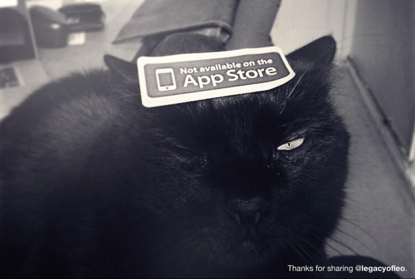 Project "Not available on the App Store"