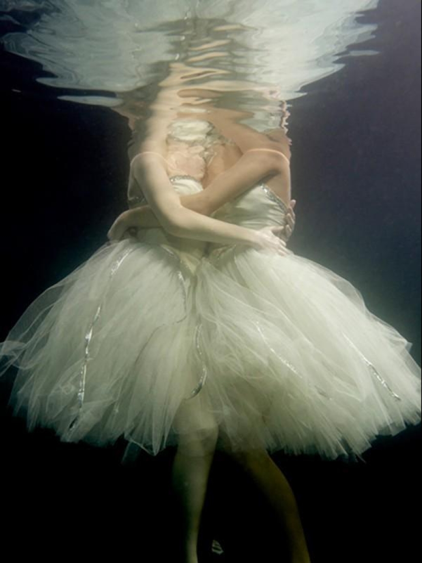 Project "Who am I?" by Scott Rea