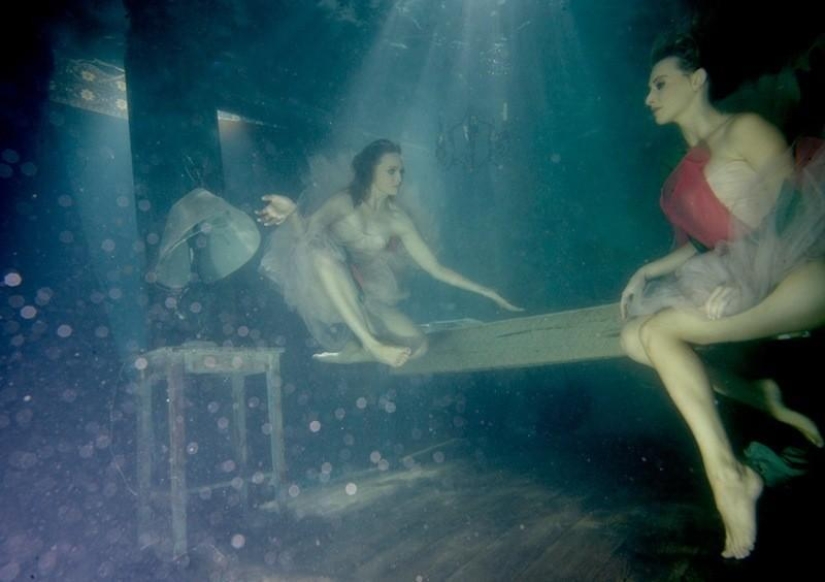 Proyecto "¿Quién soy yo?" por Scott Rea